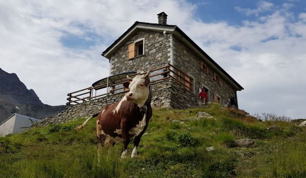 La Casermetta dell'Espace Mont-Blanc al Col de La Seigne è aperta
